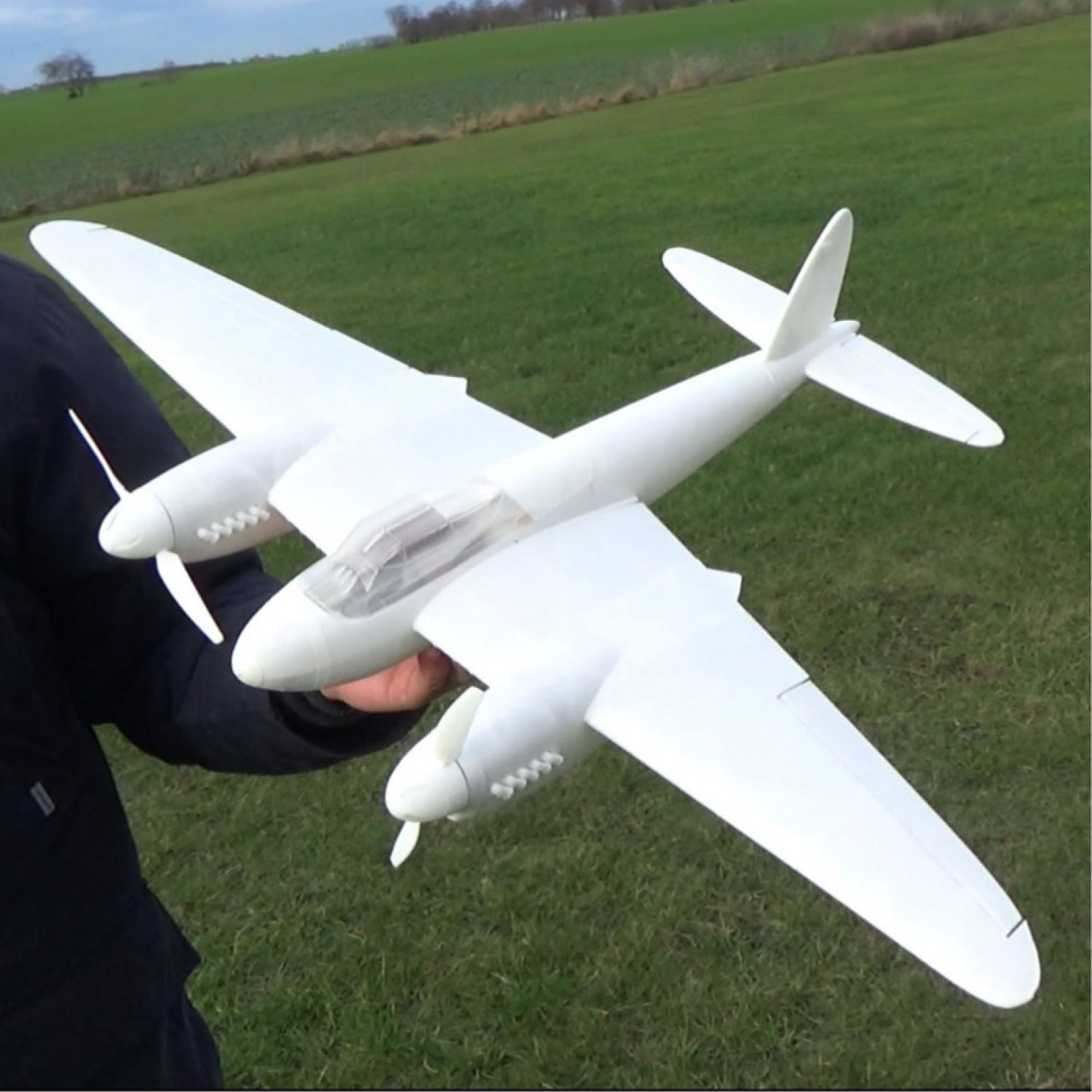 Mosquito rc plane online