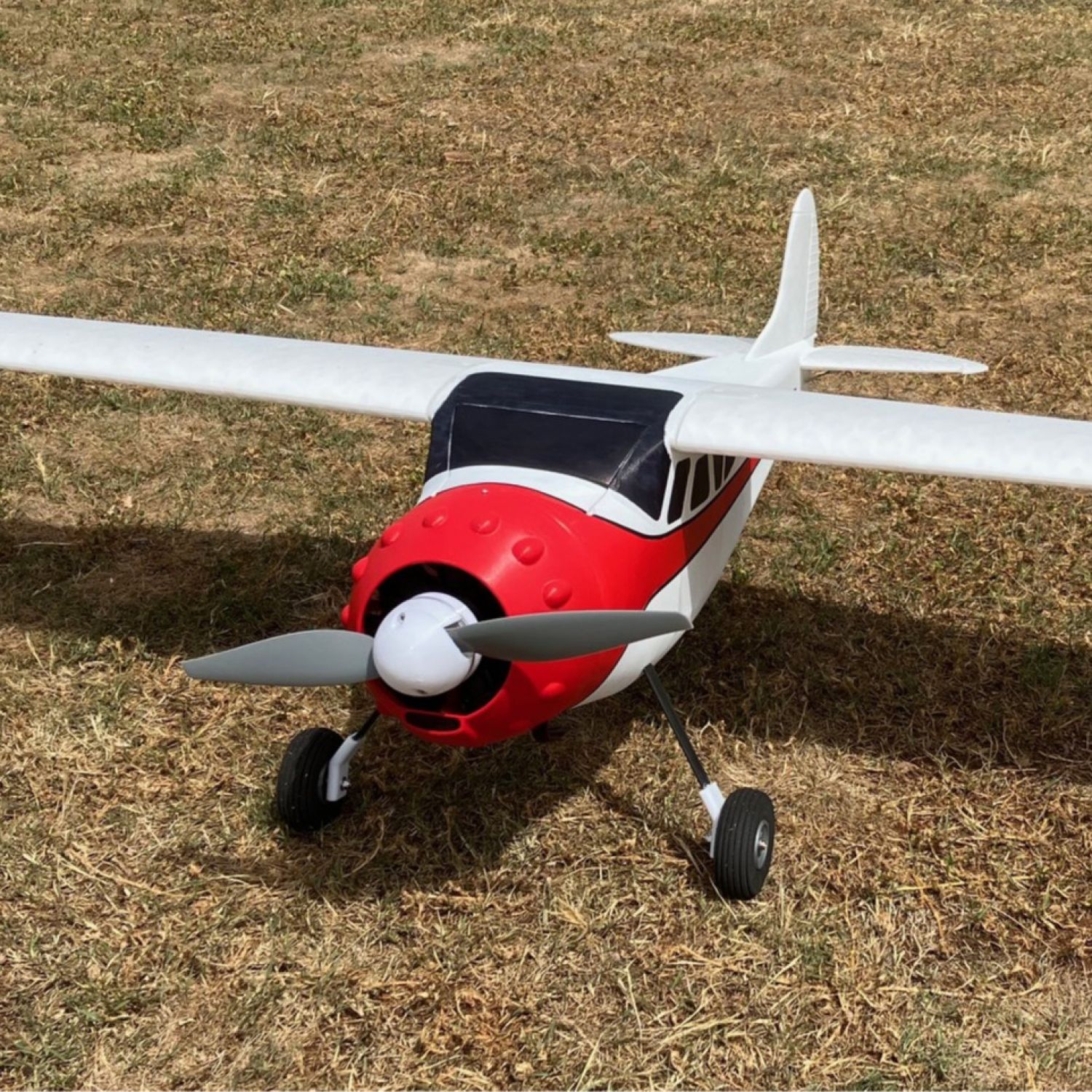 Cessna 195 rc model airplane on sale